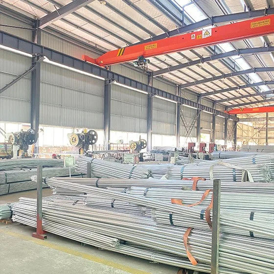 中国 Sichuan Xinglong Excellence Development Science and Technology Co., Ltd. 会社概要